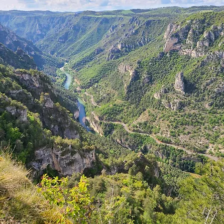 La Boletiere Saint-Étienne-du-Valdonnez